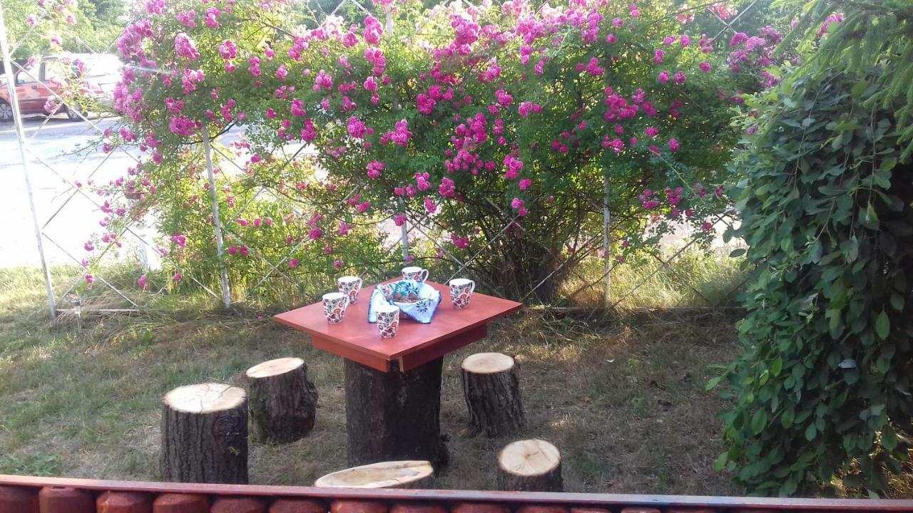 Dom Na Ludowo W Brzeznicy Apartment Brzeznica  Bagian luar foto